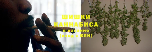 гидра Семилуки