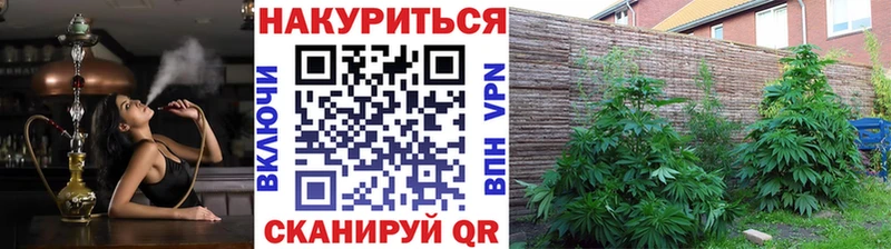 МАРИХУАНА VHQ  даркнет сайт  Опочка 